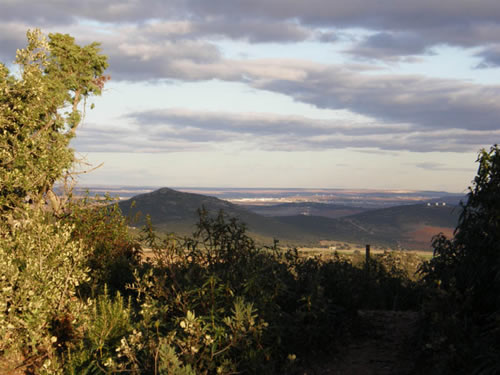 Tras bajar una larga y empinada cuesta hacia el arroyo Valdezarza, nos topamos de frente con una nueva alambrada que nos obliga a girar hacia la izquierda. Siguiendo el camino llegaremos a un cortafuegos que habremos de tomar hacia la derecha y que, tras unos pocos metros nos llevará hasta la vía que tomamos a la ida, cerca de la cadena. Desandamos el último tramo y celebramos, como nos plazca, el fin de la excursión. 