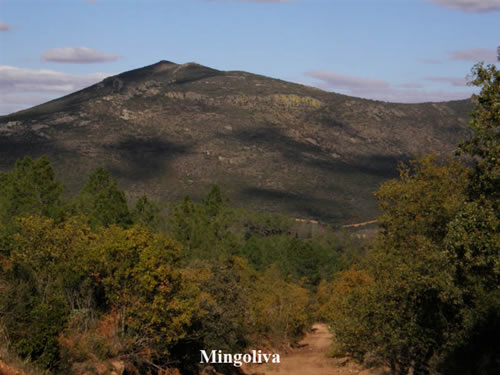 El pico Mingoliva 