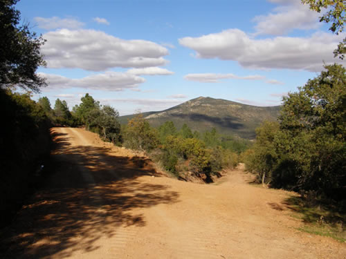 Tras recorrer aproximadamente 2 Km. confluye a él, por la derecha, una amplia pista forestal. Unos pasos más y cruzamos un cortafuegos que sube abruptamente por la ladera de nuestra izquierda.