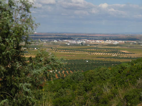 Siguiendo su trazado descenderemos suavemente y, en la grata compaña de la frondosa vegetación autóctona y en la contemplación del hermoso valle olivarero llegaremos, de regreso, a “La Copa”. 