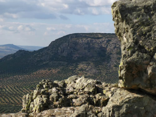 Aquí podemos, entre otras cosas, descansar, o contemplar la inmensa llanura manchega cuyos límites se pierden en el horizonte meridional.