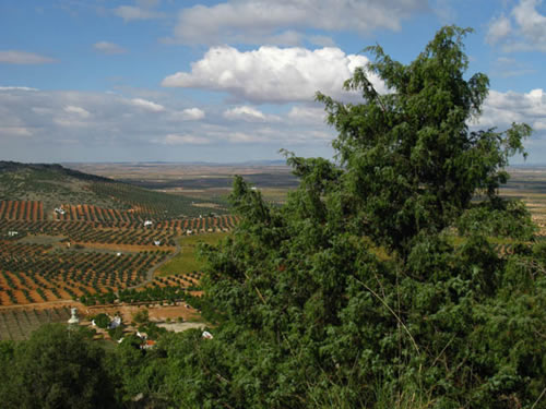 En la grata compaña de la frondosa vegetación autóctona y en la contemplación del hermoso valle olivarero llegaremos, de regreso, a “La Copa”.