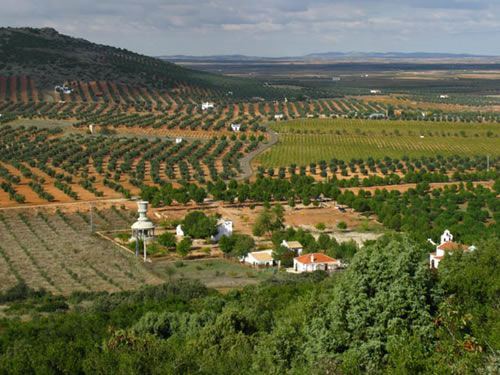 Al fondo de la explanada podemos ver dos ermitas, la más grande está dedicada a la Virgen de la Cabeza. Desde aquí tomamos el carrilillo que sale hacia el SO. Tras caminar unos 300 m.