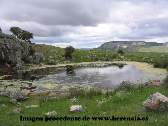 Desde aquí sale una senda bien marcada que se dirige hacia el SO descendiendo hasta un despejado y bucólico prado alto donde podremos ver una especie de alberca o aljibe que en ocasiones (pocas) está lleno de agua.